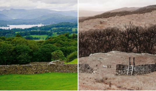 the lake district with and without bees.PNG